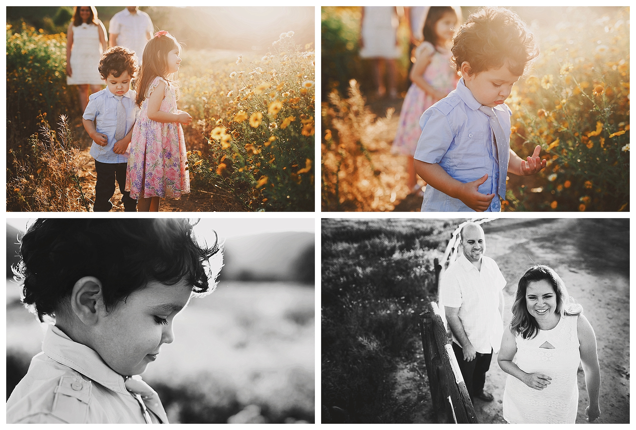 Orange County spring family session photographer Orange County spring family session photographer